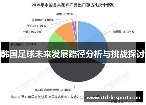 韩国足球未来发展路径分析与挑战探讨