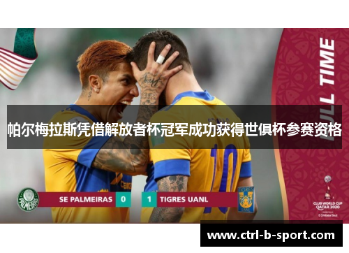 帕尔梅拉斯凭借解放者杯冠军成功获得世俱杯参赛资格